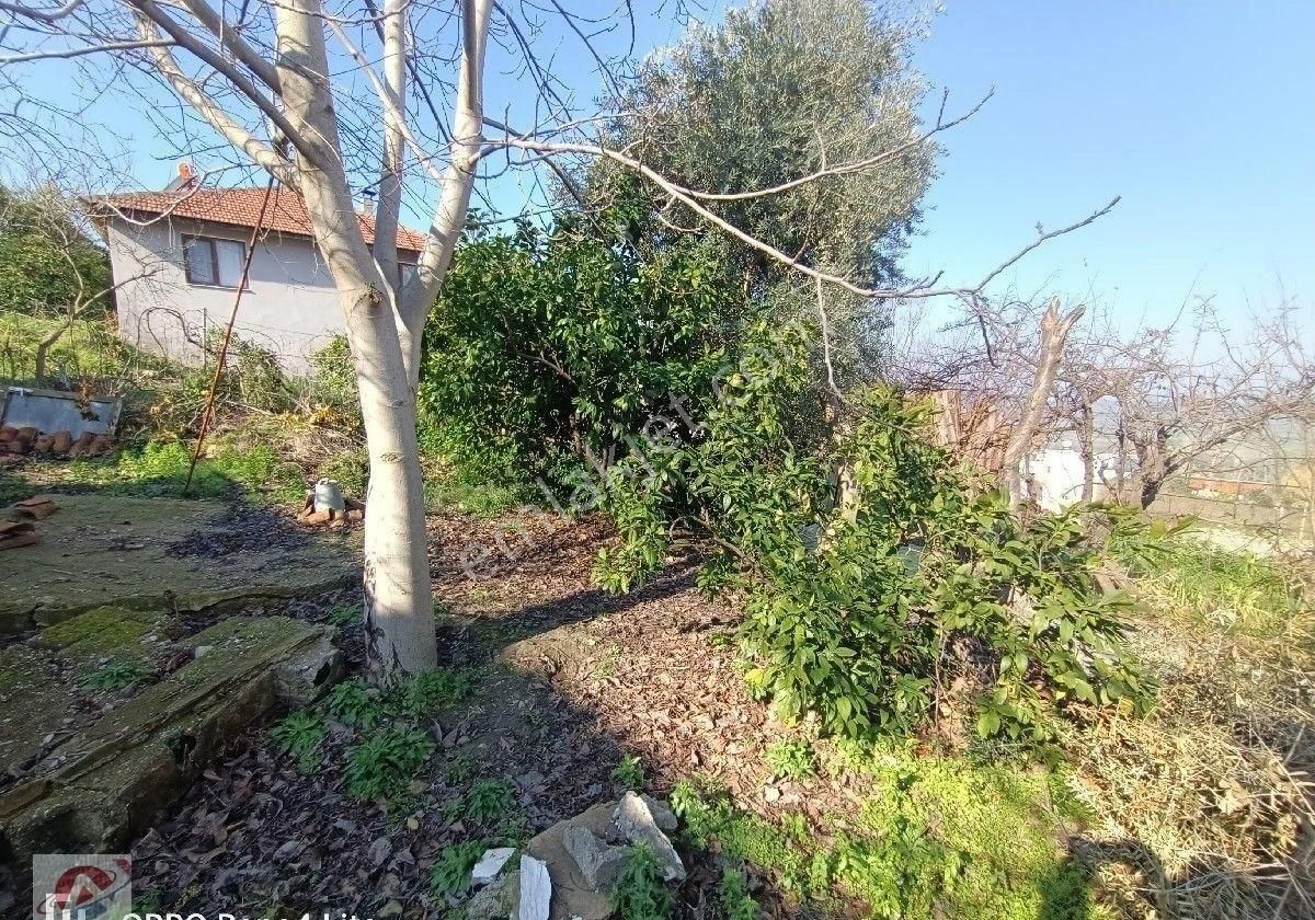 Belevi Küçük Kale Köyü İçinde Eski Taş Evi Olan Arsa - Görsel 9