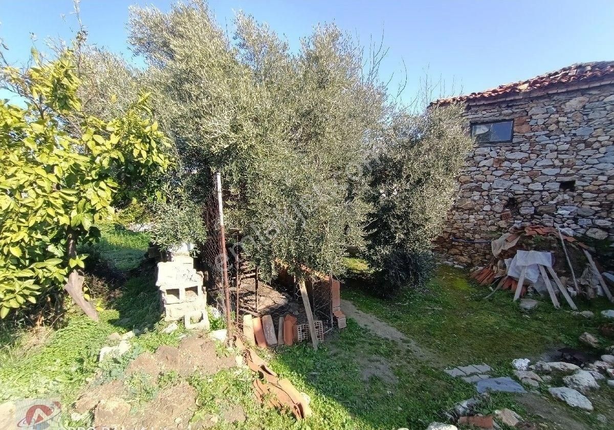 Belevi Küçük Kale Köyü İçinde Eski Taş Evi Olan Arsa - Görsel 3