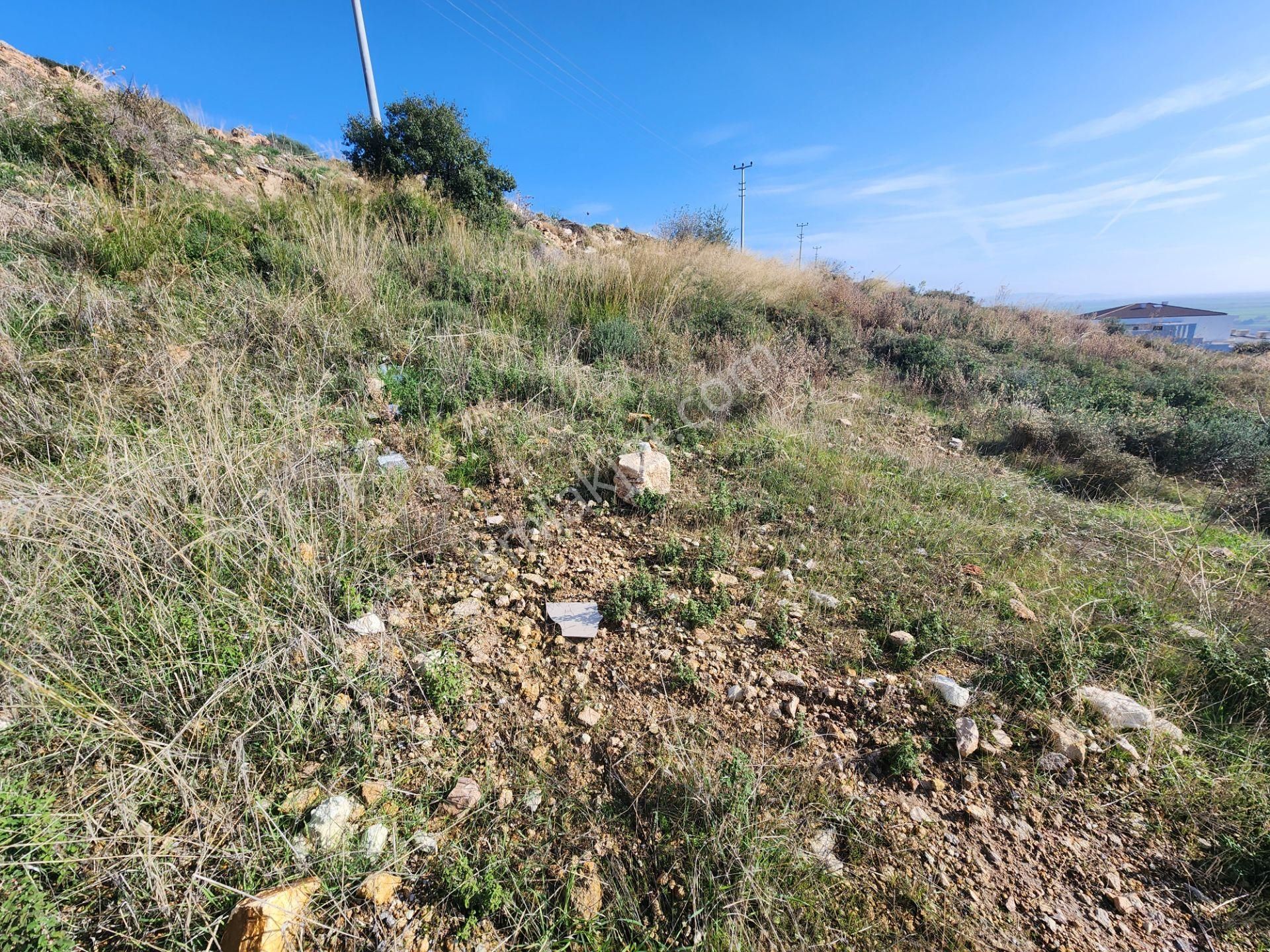 Remax Arma Dan İzmir Foça Da Satılık Villa İmarlı Geniş Arsa - Görsel 25