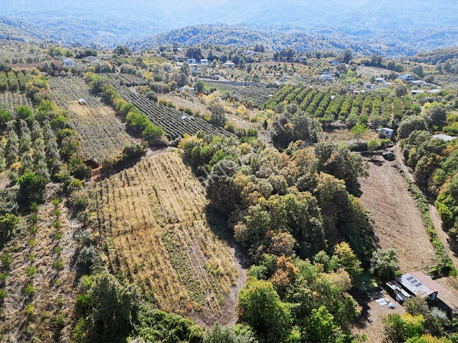 Acil Gözede Köyü 3676 M² Kullanım Alanı 4200 M2 Yerleşime Yakın - Görsel 9