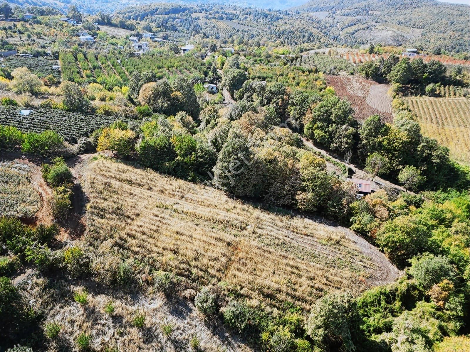 Acil Gözede Köyü 3676 M² Kullanım Alanı 4200 M2 Yerleşime Yakın - Görsel 5