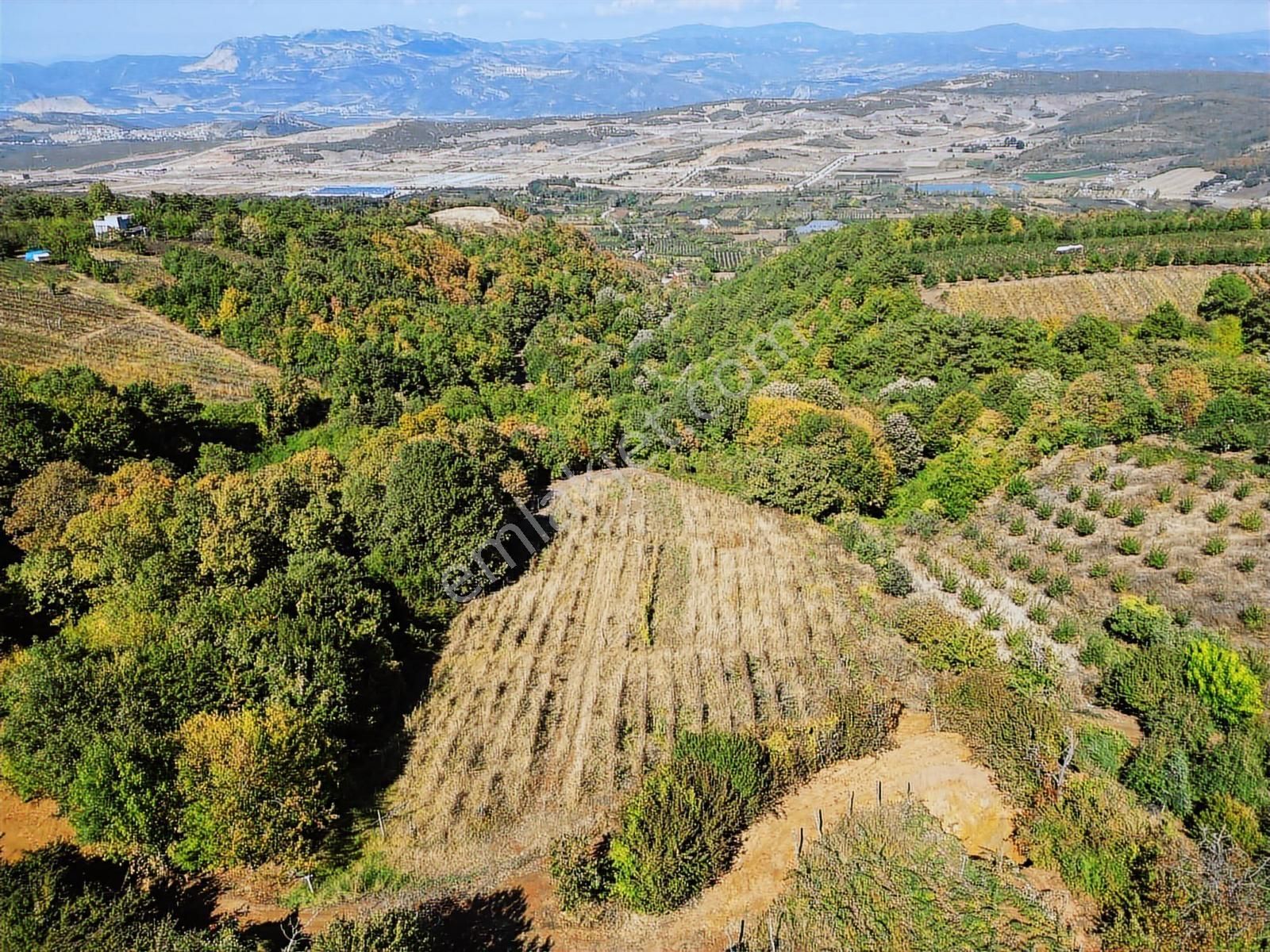 Acil Gözede Köyü 3676 M² Kullanım Alanı 4200 M2 Yerleşime Yakın - Görsel 3