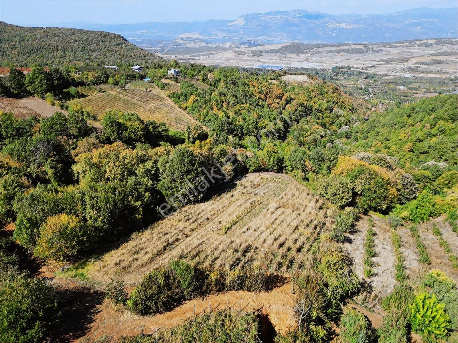 Acil Gözede Köyü 3676 M² Kullanım Alanı 4200 M2 Yerleşime Yakın - Görsel 11