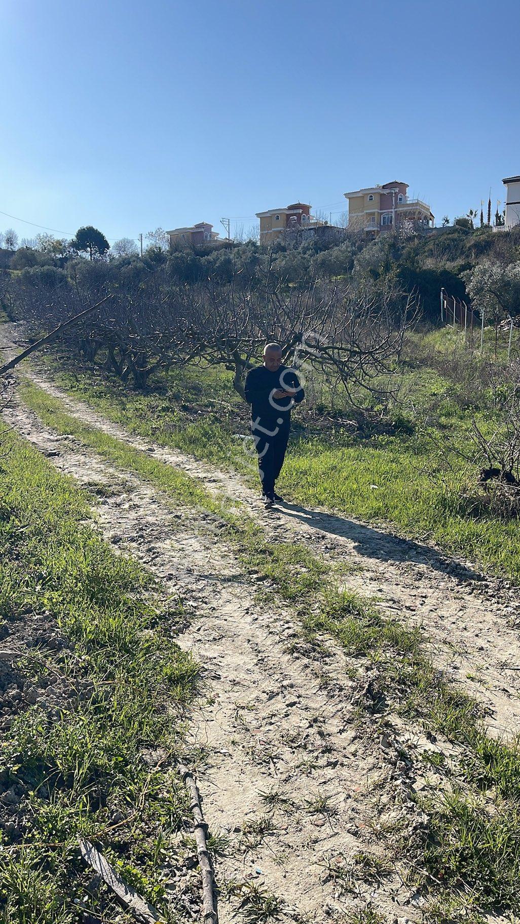 Fiyat Düştü Toplam 9.654m2 İki Tapu Yan Yana - Görsel 6