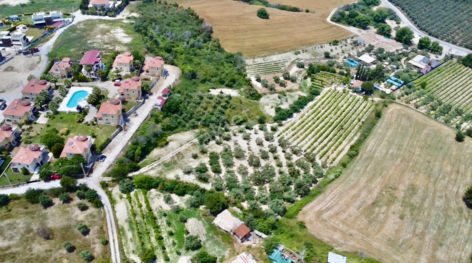 Fiyat Düştü Toplam 9.654m2 İki Tapu Yan Yana - Görsel 3