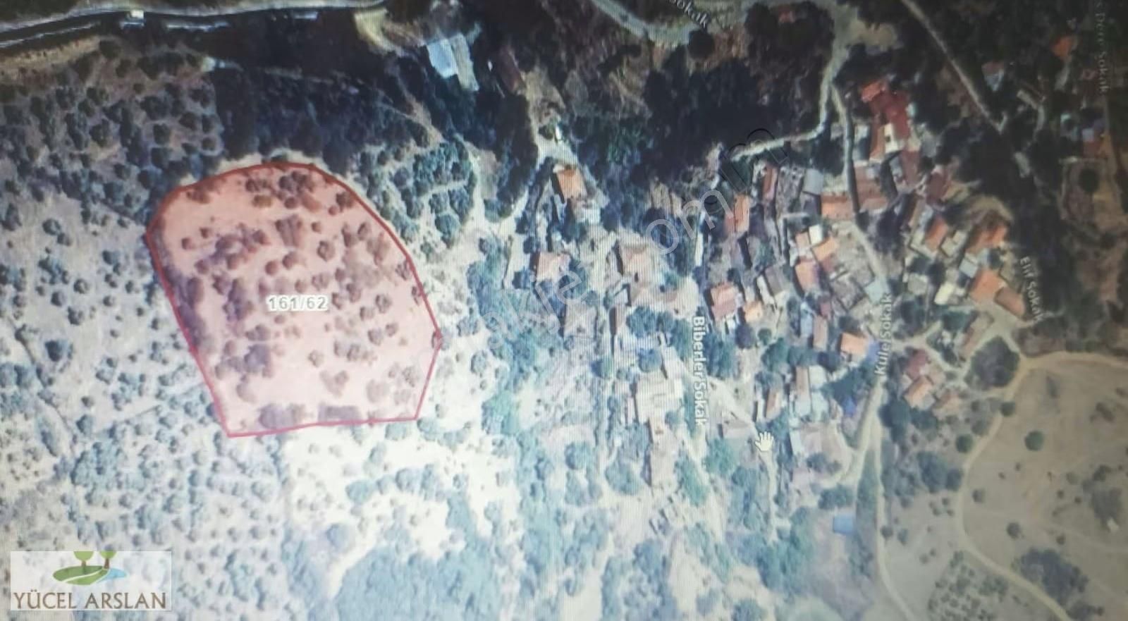 İzmir Bayındırda Alanköy De Satılık Müstakil Tapulu Zeytinlik - Görsel 4