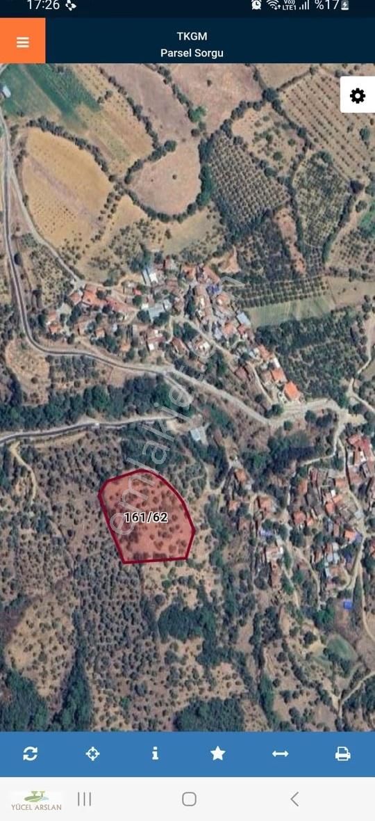 İzmir Bayındırda Alanköy De Satılık Müstakil Tapulu Zeytinlik - Görsel 6