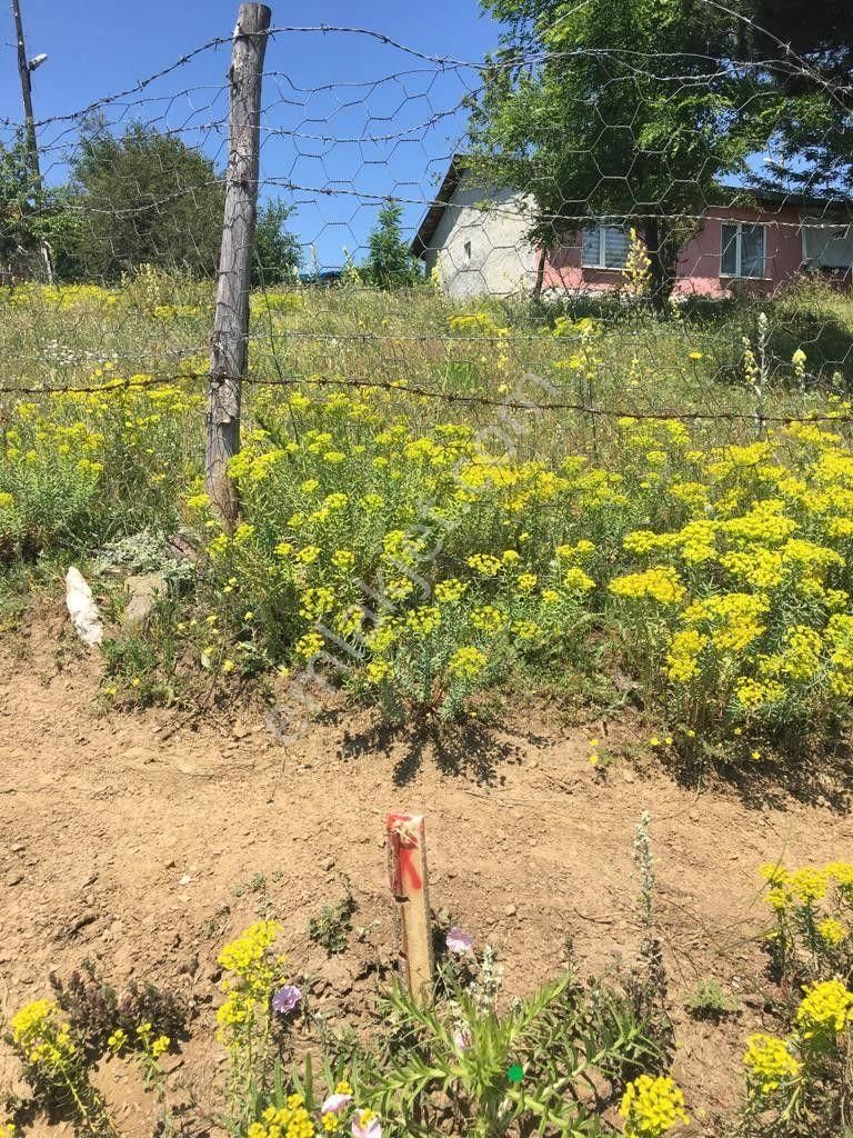 Kastamonu Badembekdemir Köyü Satılık Kargir Ev Ve Bahçesi - Görsel 4