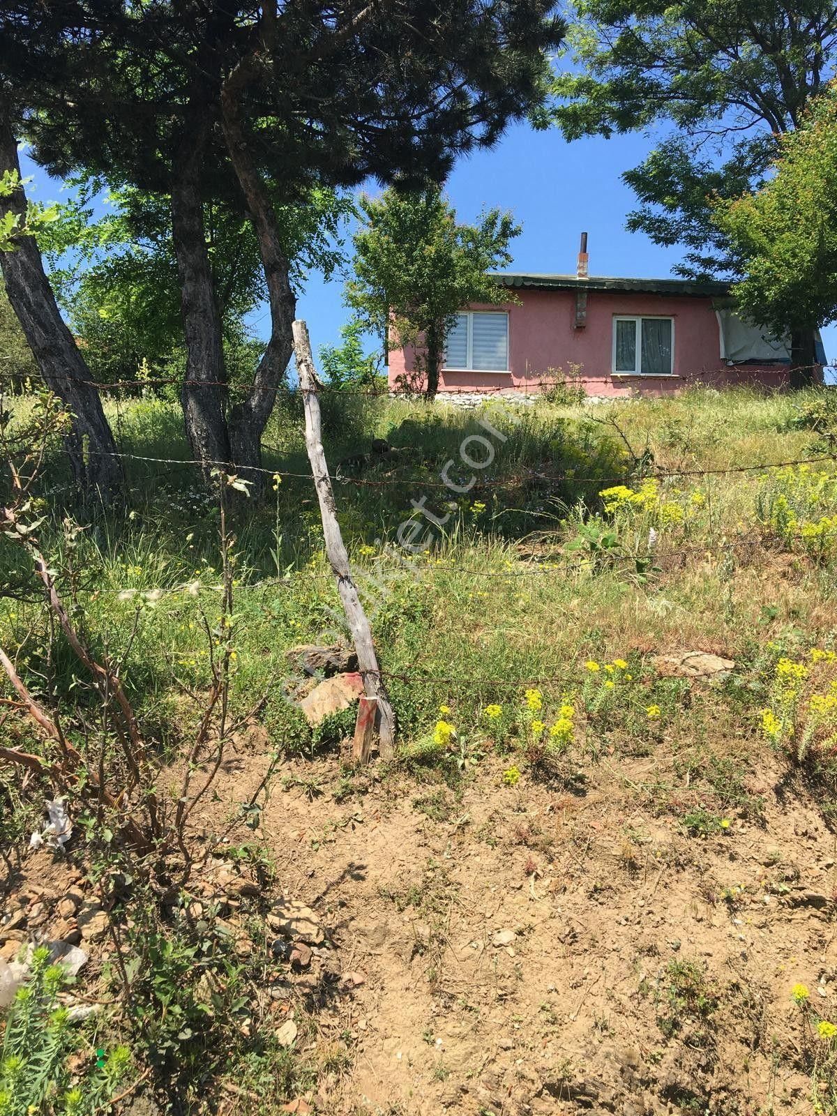 Kastamonu Badembekdemir Köyü Satılık Kargir Ev Ve Bahçesi - Görsel 5