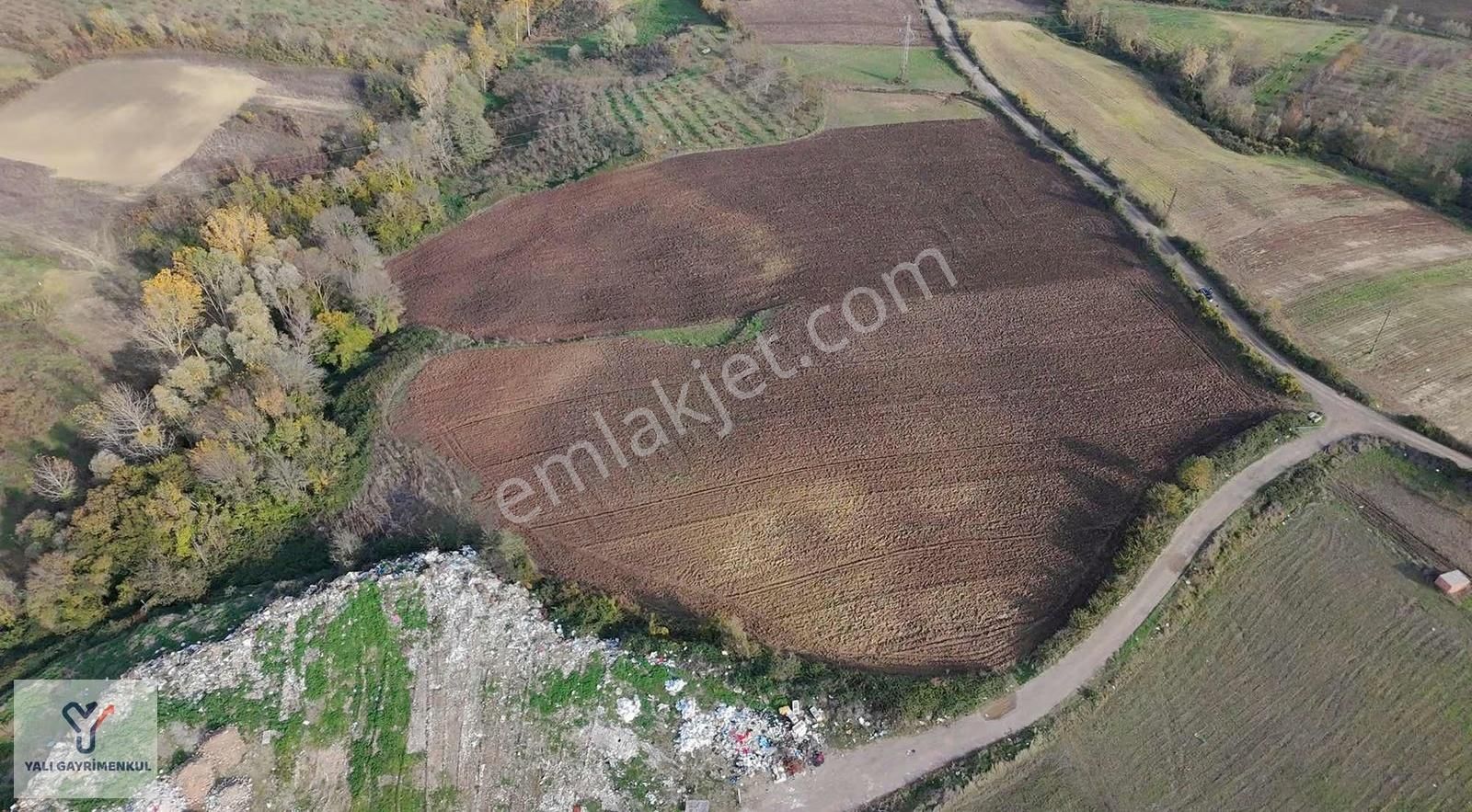 Yalı Gayrimenkul | Çatalçam'da Satılık 28 Dönüm Arazi - Görsel 12