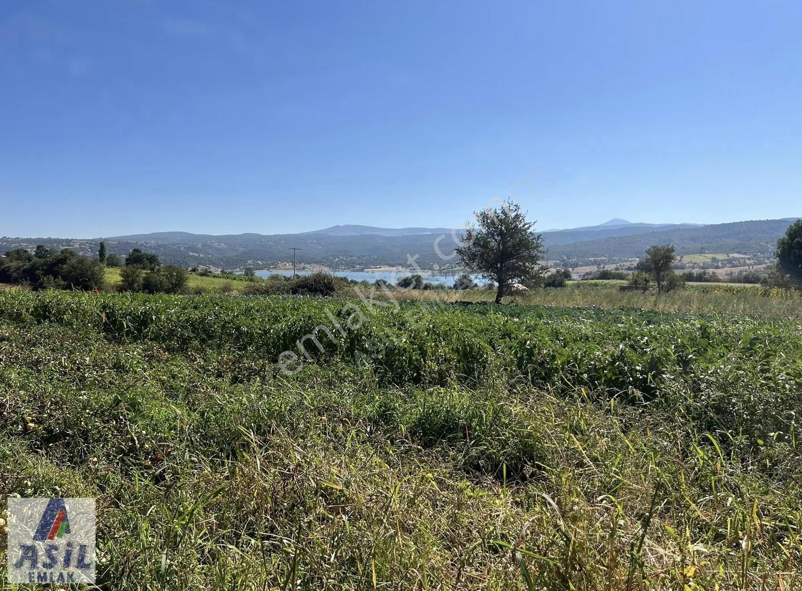 Baraj Manzaralı Tarla - Görsel 5