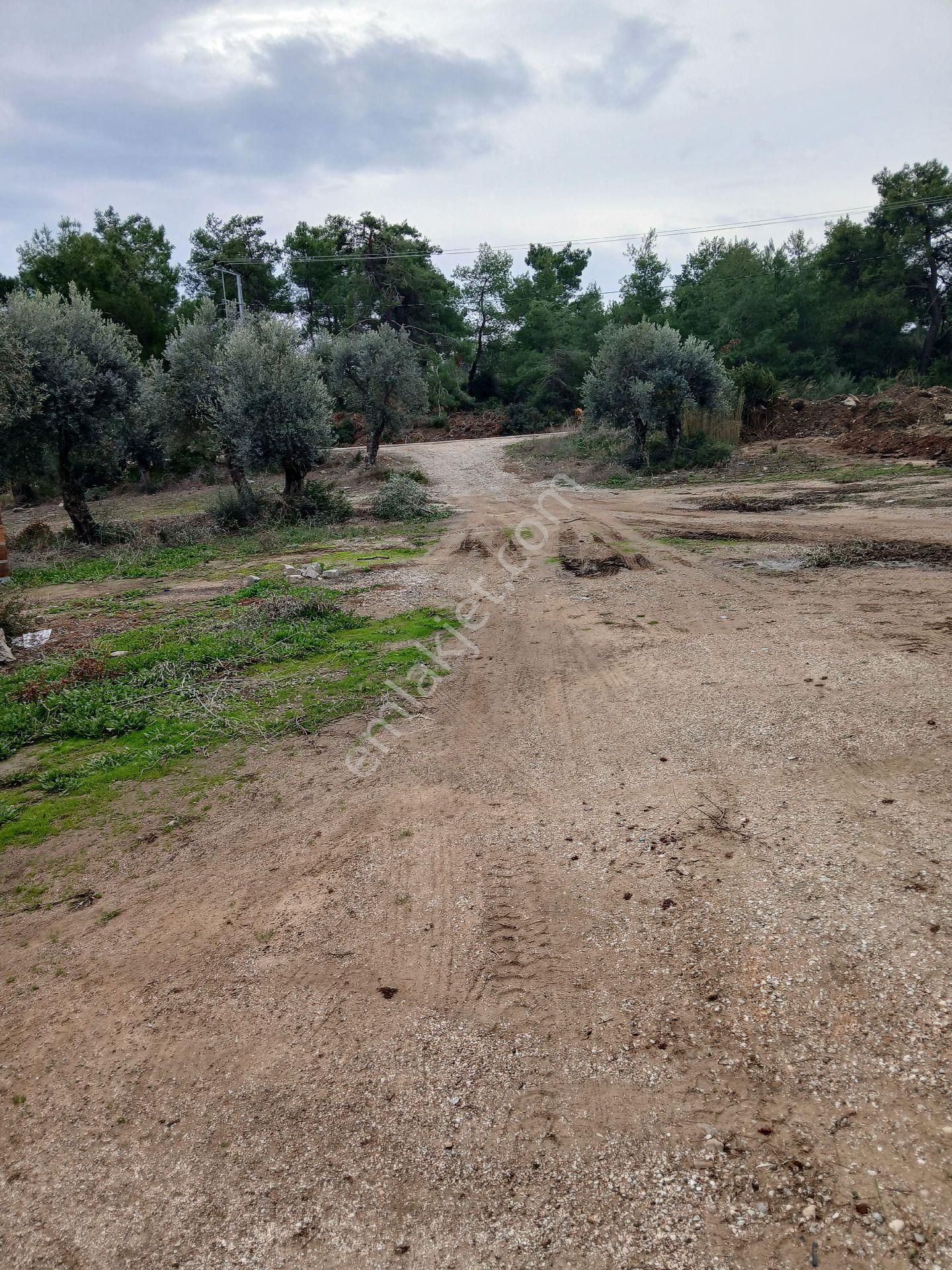 D400 E 1.5 Kmsera Çiftlik Avakado Yapmaya Uygun Yolu Suyu Elektriği Olan Mustakil Tapu Arazi - Görsel 2
