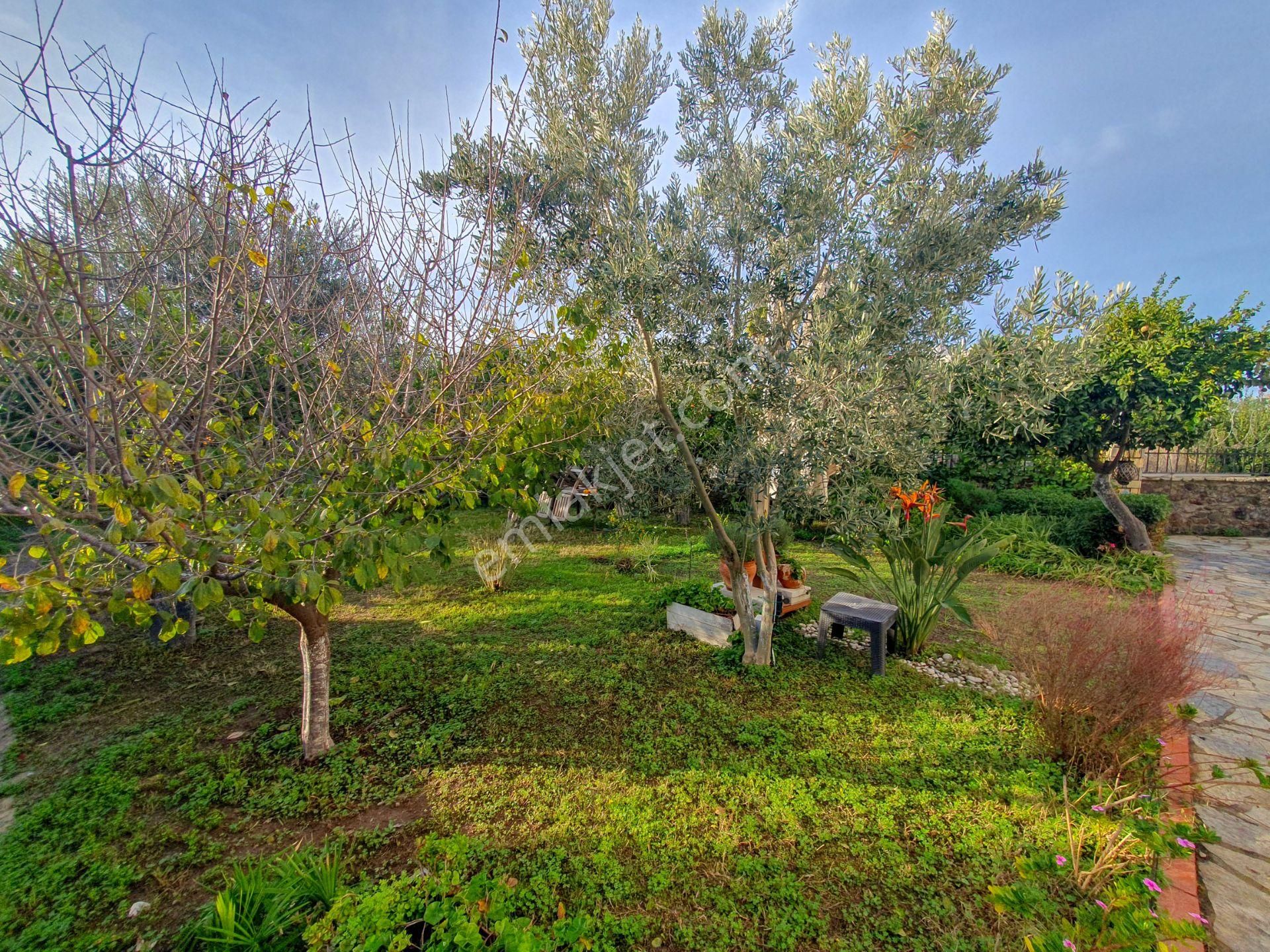 Turgutreis Merkezde Satılık Havuzlu Site İçi Müstakil Villa - Görsel 5