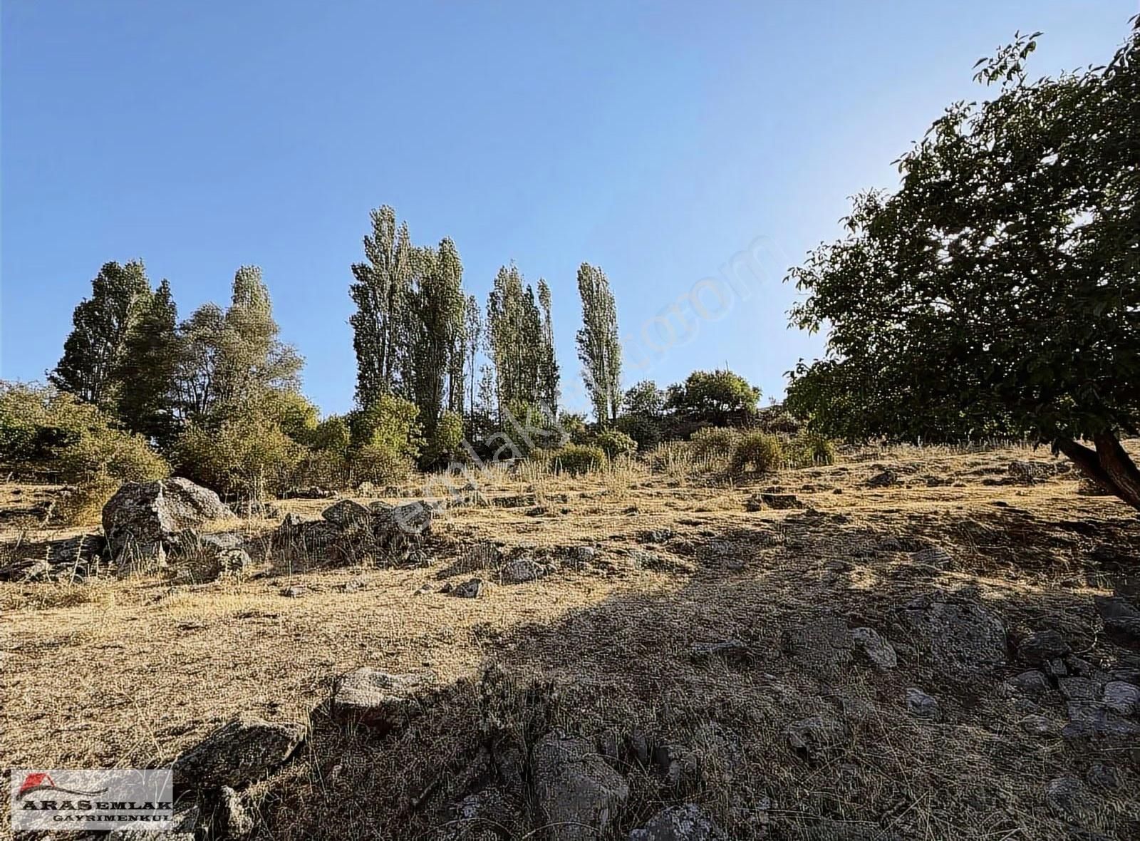 Acill Satılık Erkilet Arabidinde 1870m2 Tek Tapulu Bağ - Görsel 12