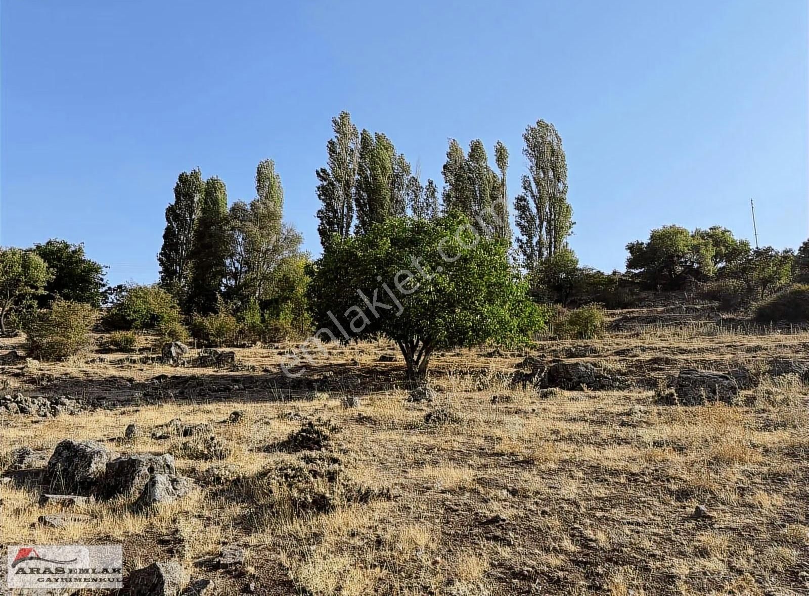 Acill Satılık Erkilet Arabidinde 1870m2 Tek Tapulu Bağ - Görsel 7