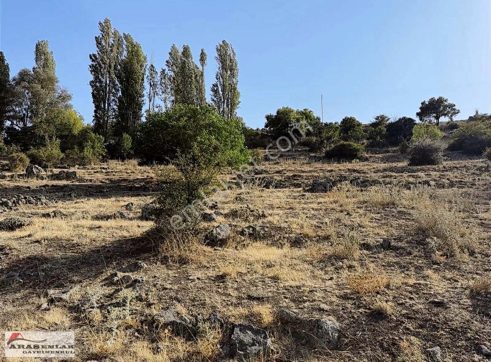 Acill Satılık Erkilet Arabidinde 1870m2 Tek Tapulu Bağ - Görsel 5