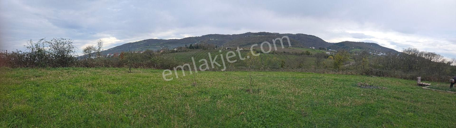 Sahibinden Kurugökçe'de Elektrik Ve Suyu Olan Tarla