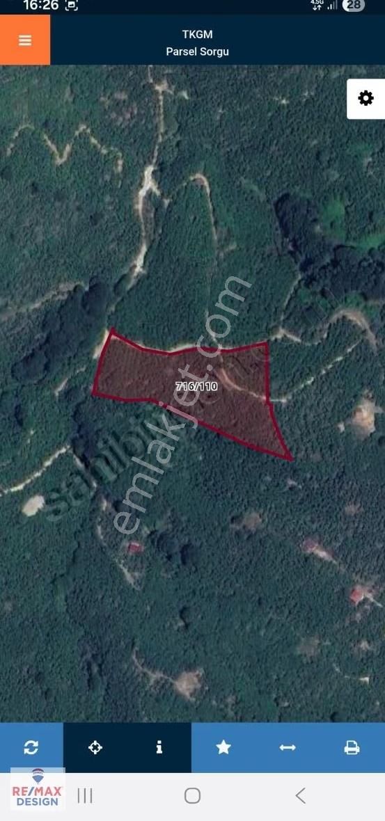 Kocaali Alandere Deniz Manzaralı 10.000 M2 Fındık Bahçesi - Görsel 3