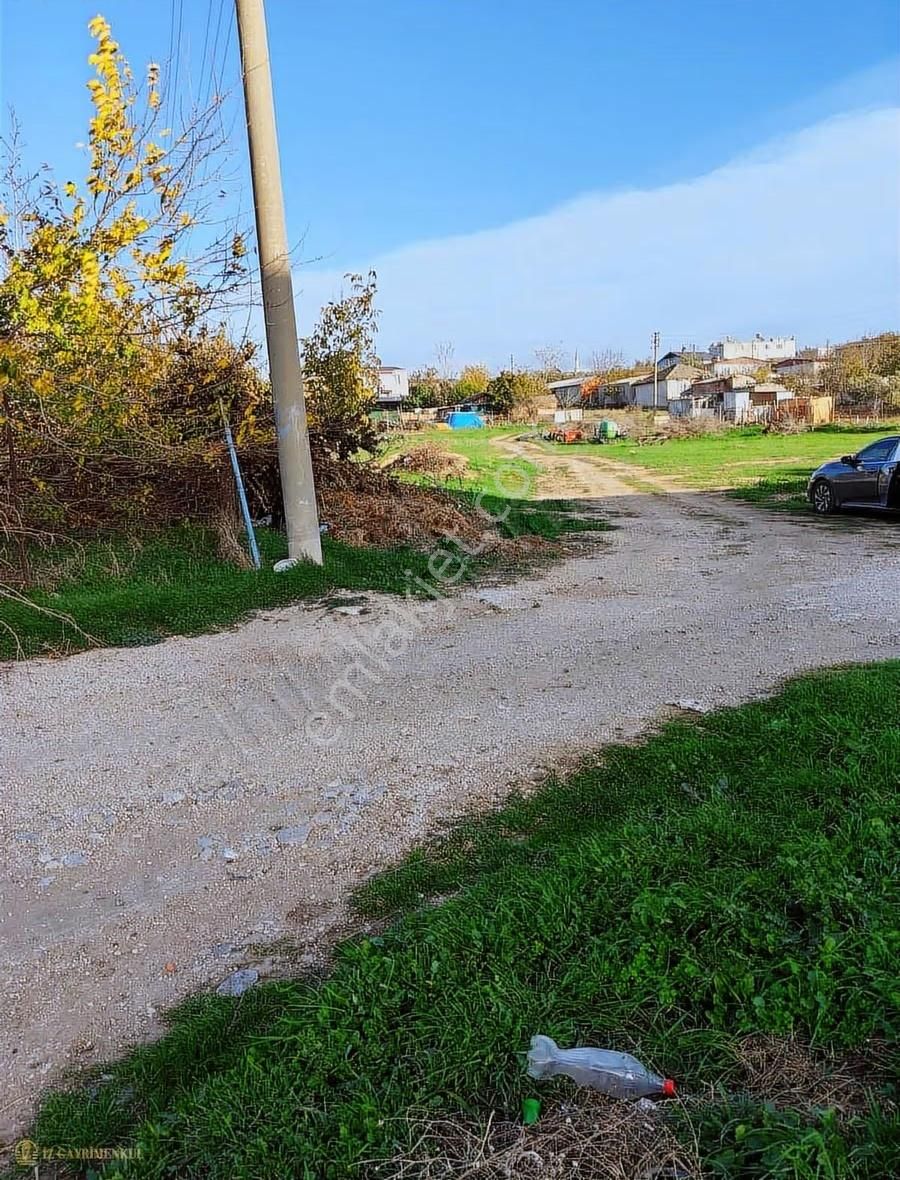 Satılık Arsa Çanakkale / Ezine / Mahmudiye Köyü - Görsel 2