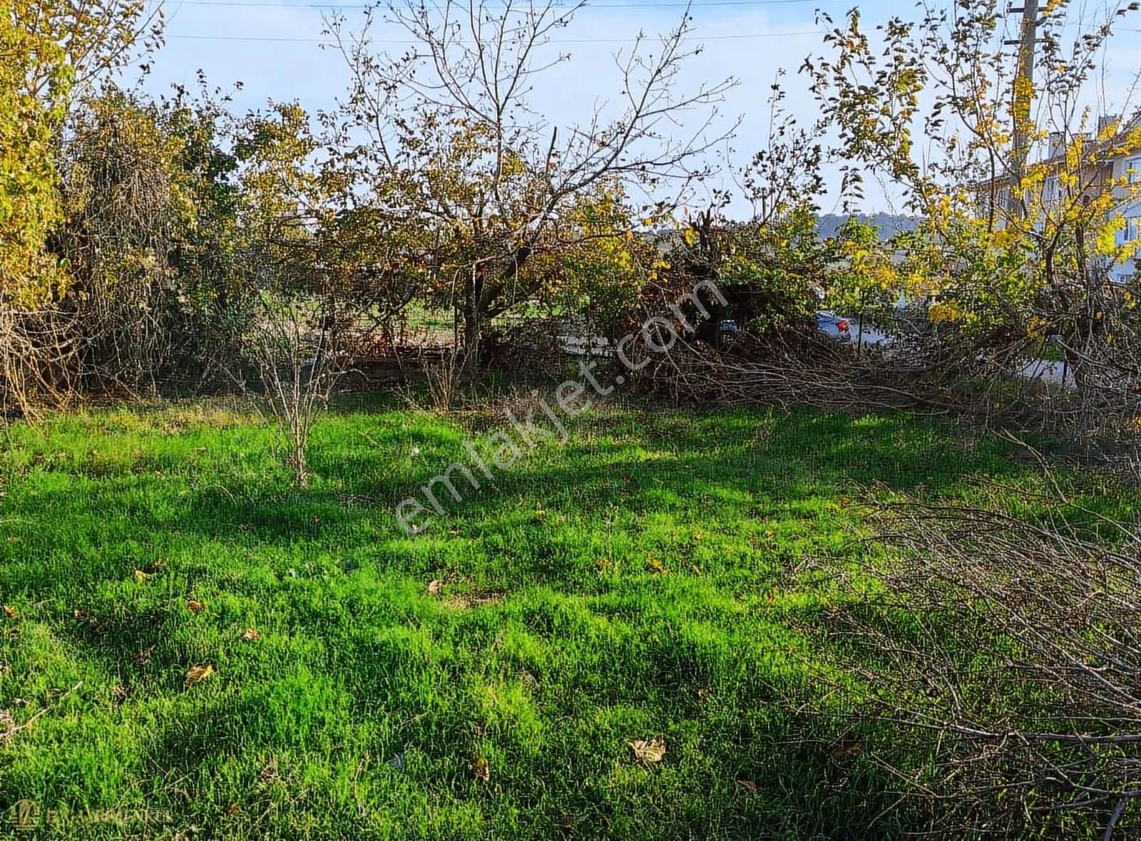Satılık Arsa Çanakkale / Ezine / Mahmudiye Köyü - Görsel 8