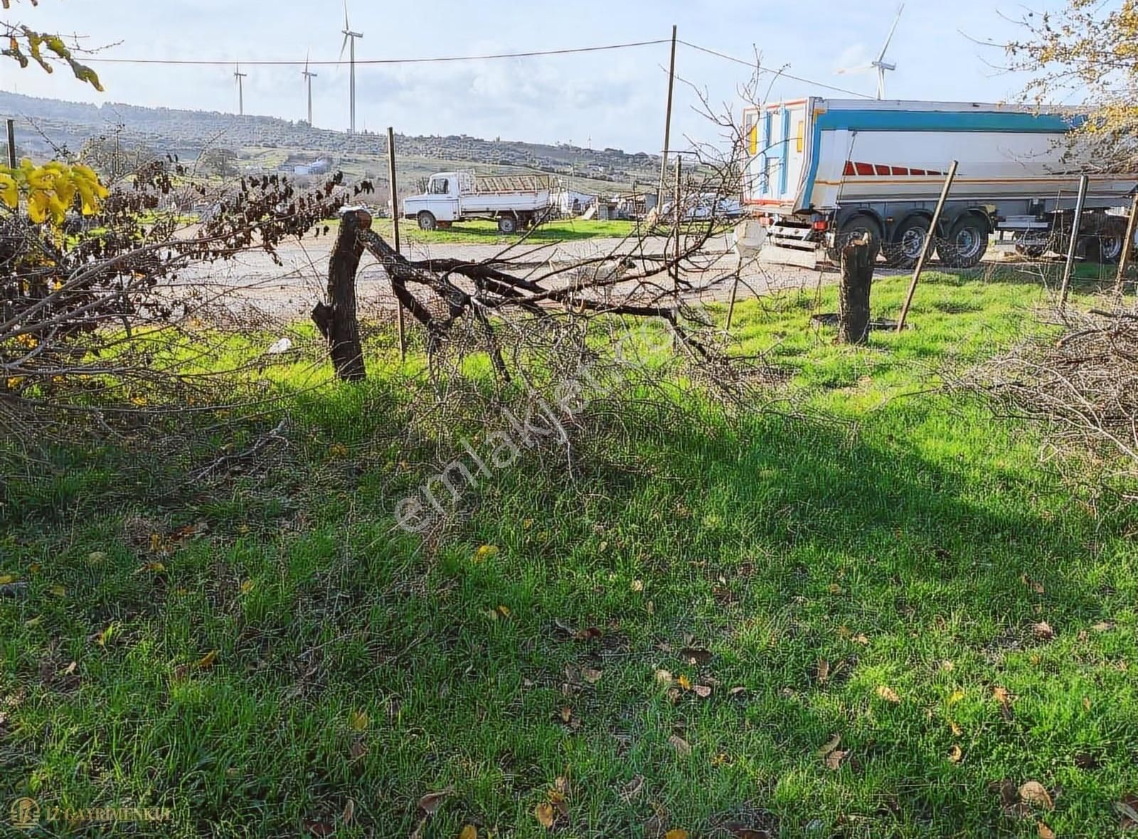 Satılık Arsa Çanakkale / Ezine / Mahmudiye Köyü