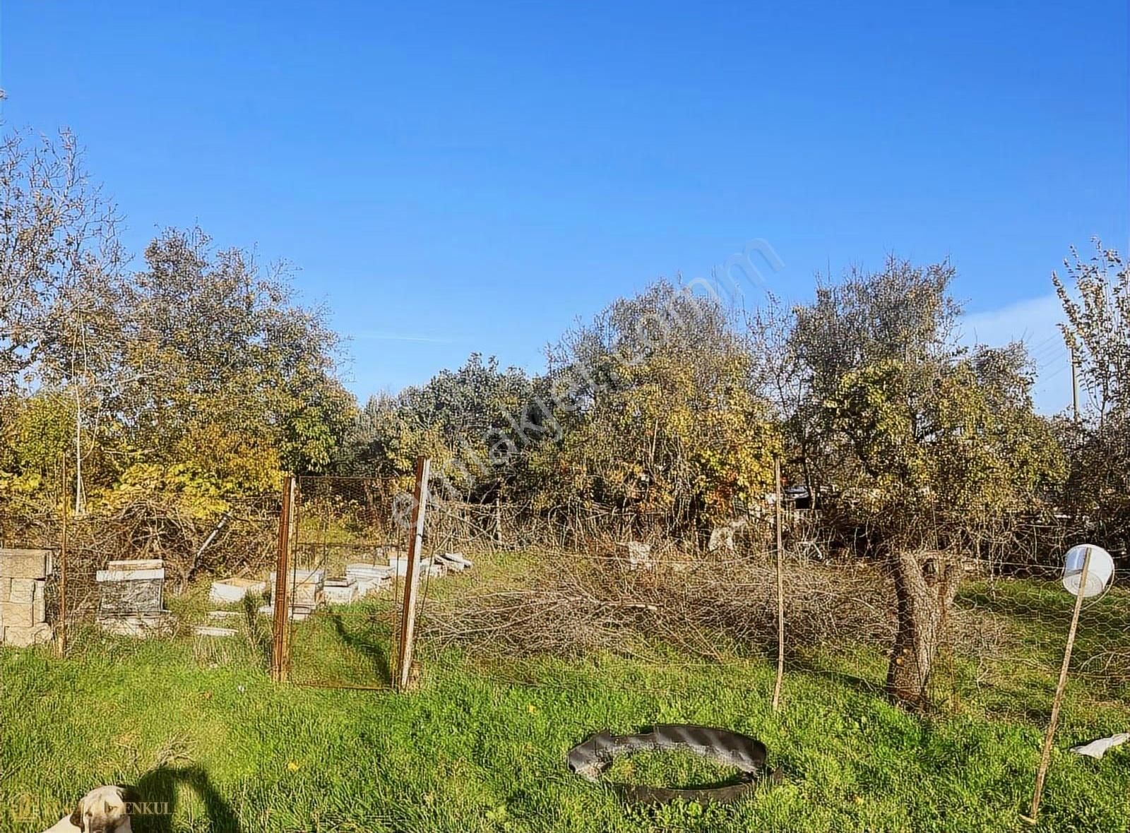 Satılık Arsa Çanakkale / Ezine / Mahmudiye Köyü - Görsel 3