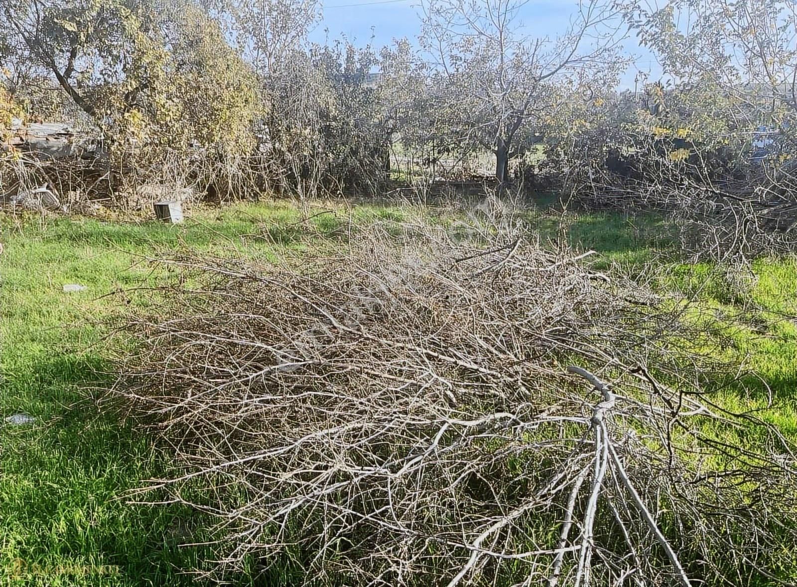 Satılık Arsa Çanakkale / Ezine / Mahmudiye Köyü - Görsel 13