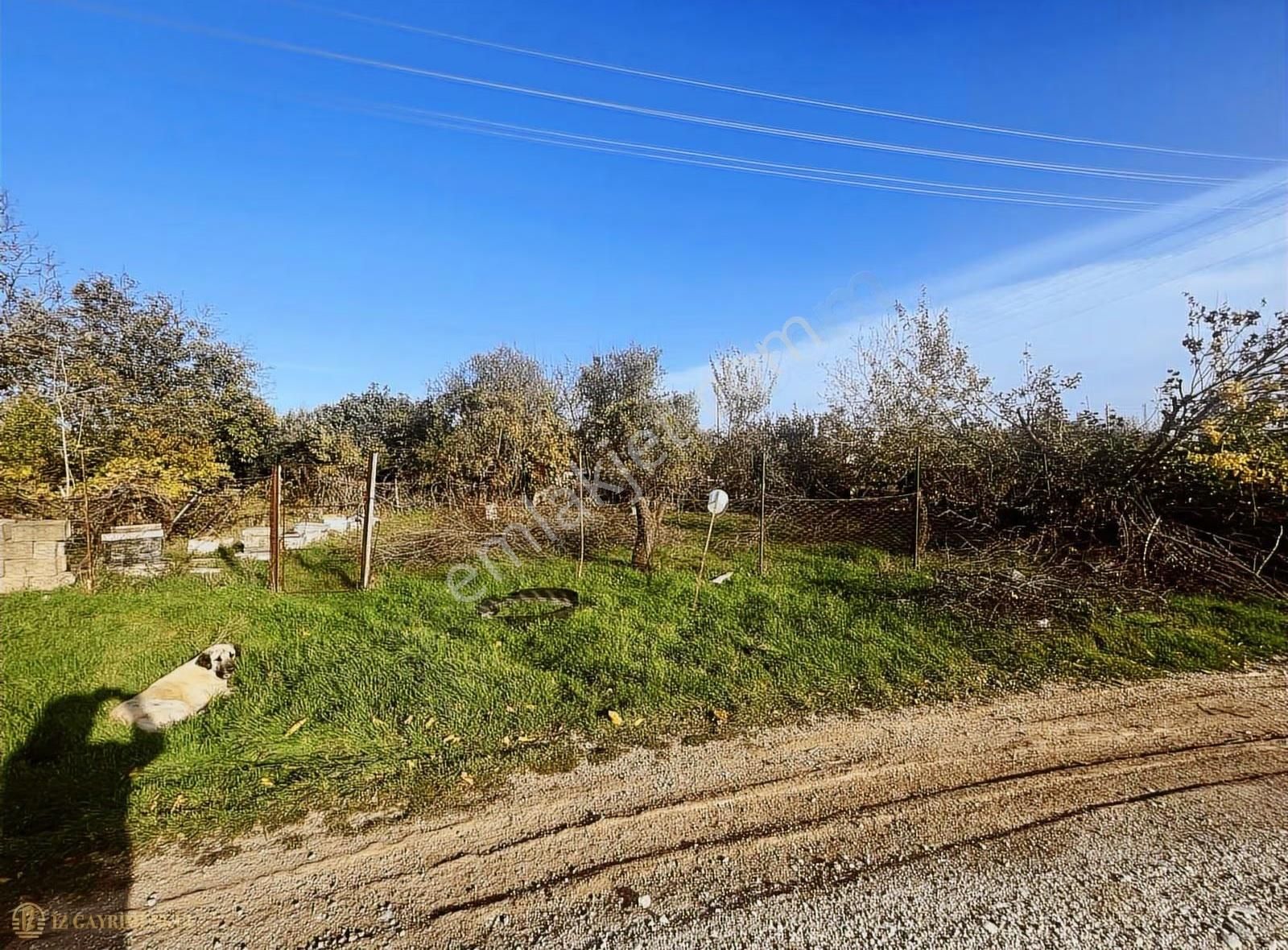 Satılık Arsa Çanakkale / Ezine / Mahmudiye Köyü - Görsel 14