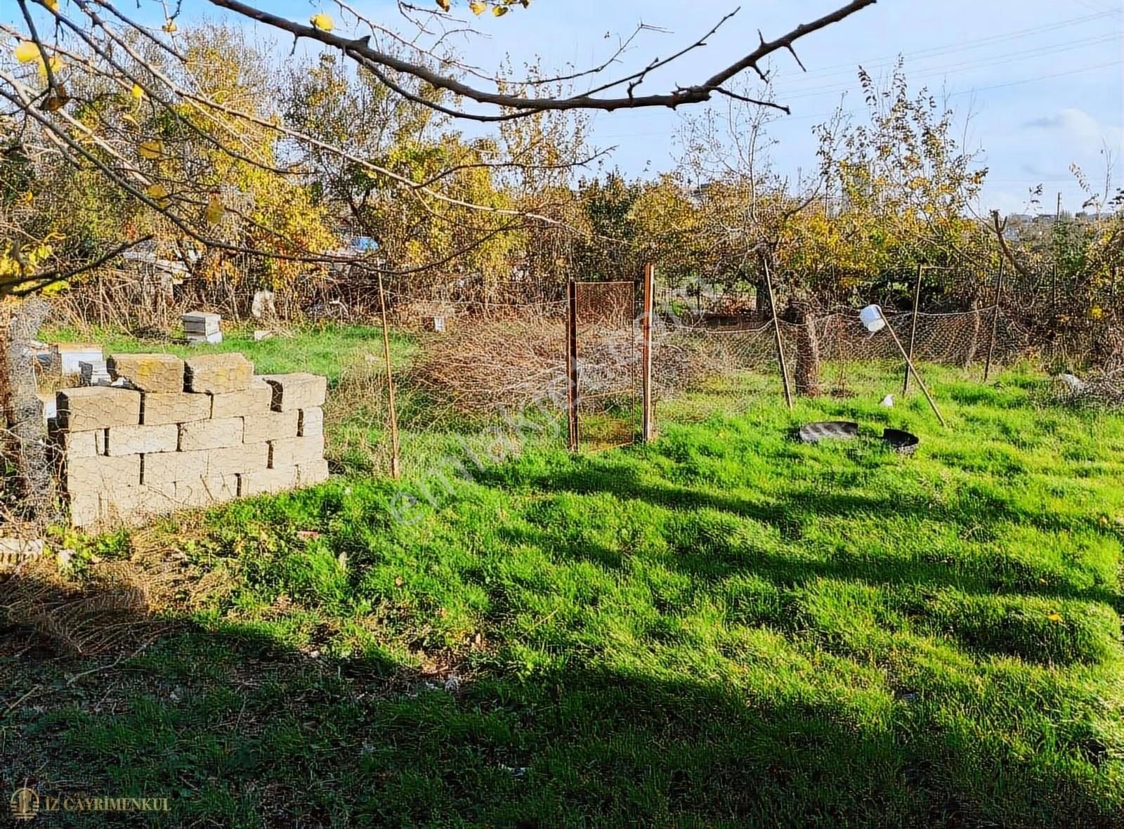 Satılık Arsa Çanakkale / Ezine / Mahmudiye Köyü - Görsel 15