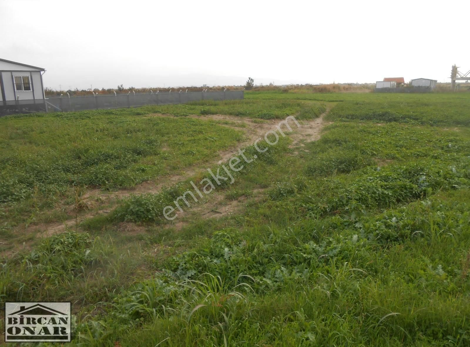 Köşe Konumlu 2 Hisseli E.foça Yoluna Yakın Ulaşım Olan Arazi - Görsel 10