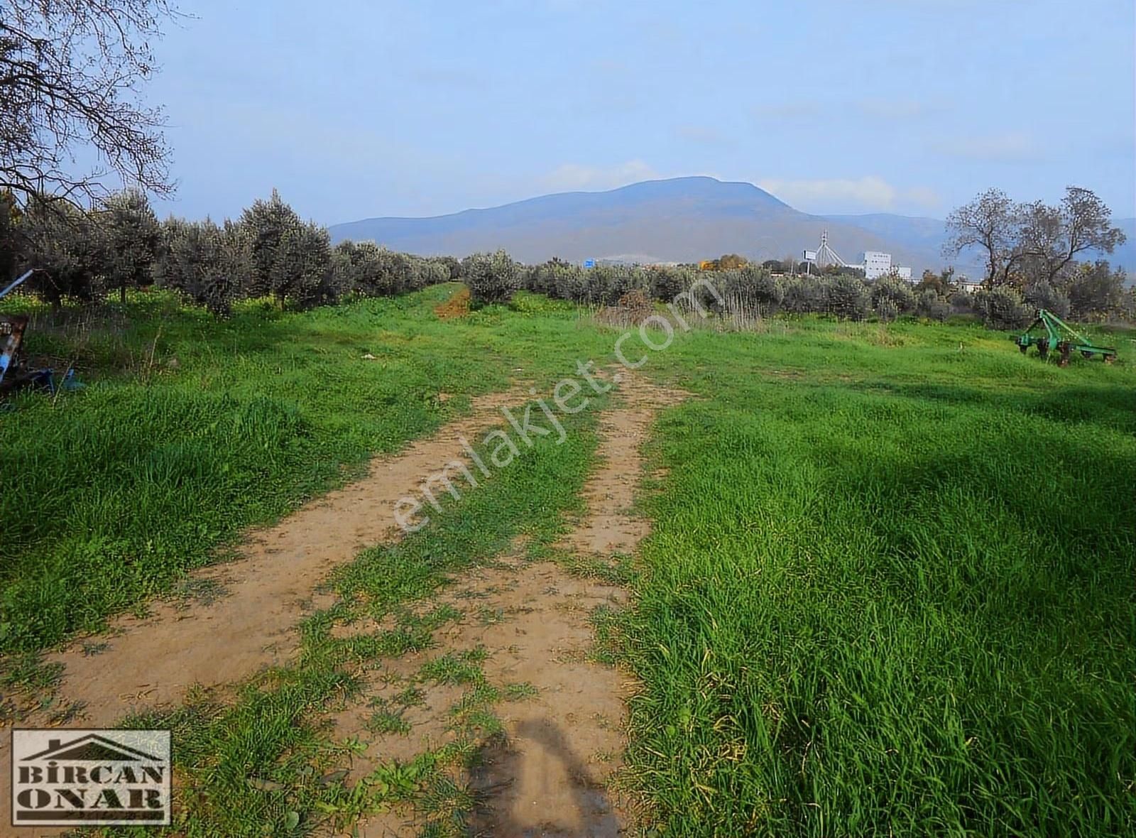 Eski Foça Yoluna 250 M Mesafede 500m2 Satılık Arazi - Görsel 5