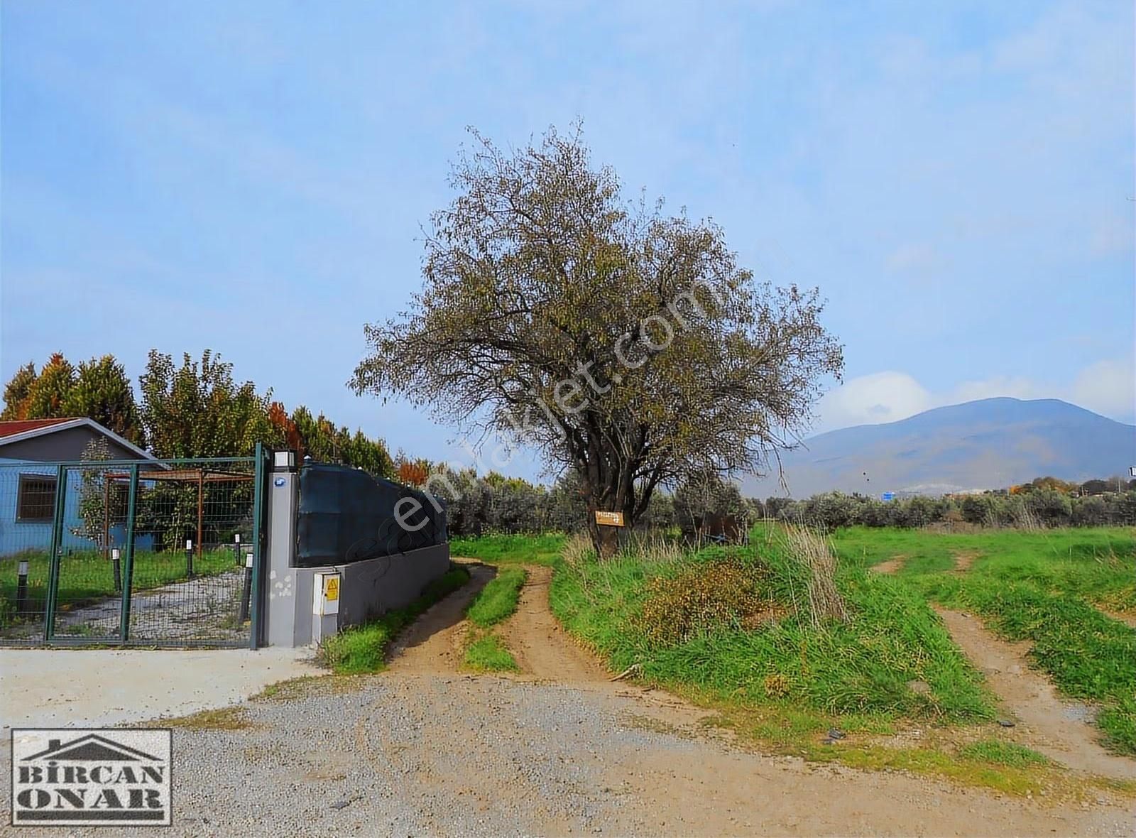 Eski Foça Yoluna 250 M Mesafede 500m2 Satılık Arazi - Görsel 9