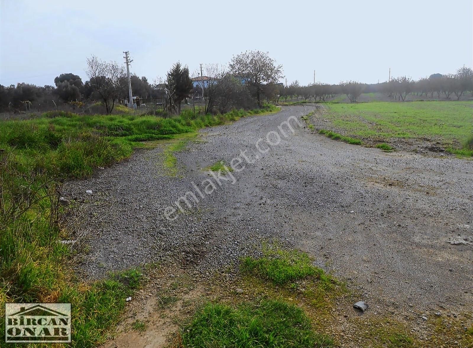 Eski Foça Yoluna 250 M Mesafede 500m2 Satılık Arazi - Görsel 3