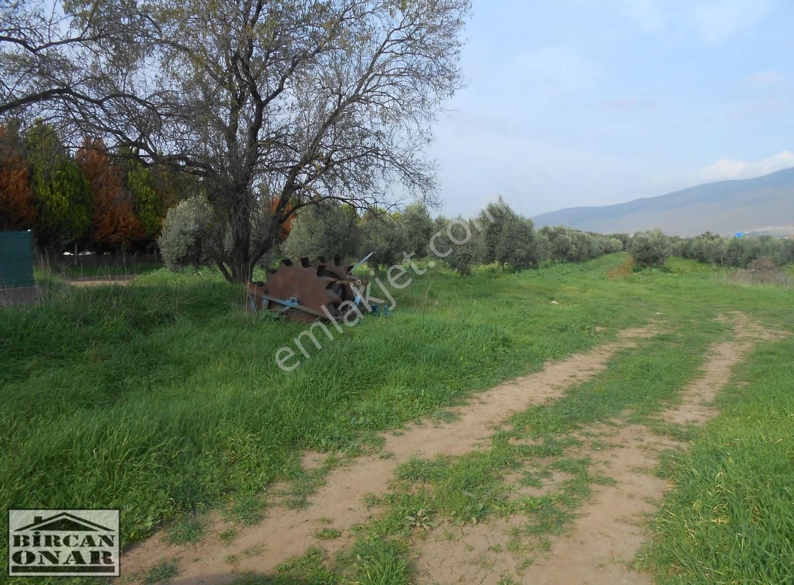 Eski Foça Yoluna 250 M Mesafede 500m2 Satılık Arazi - Görsel 6