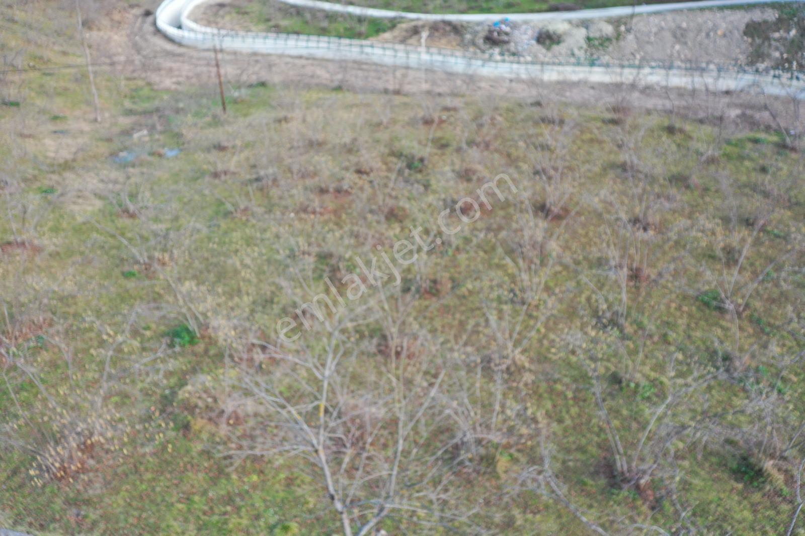 Trabzon Uğurlu Satılık Villalık 3.700 M2 Arazi - Görsel 19