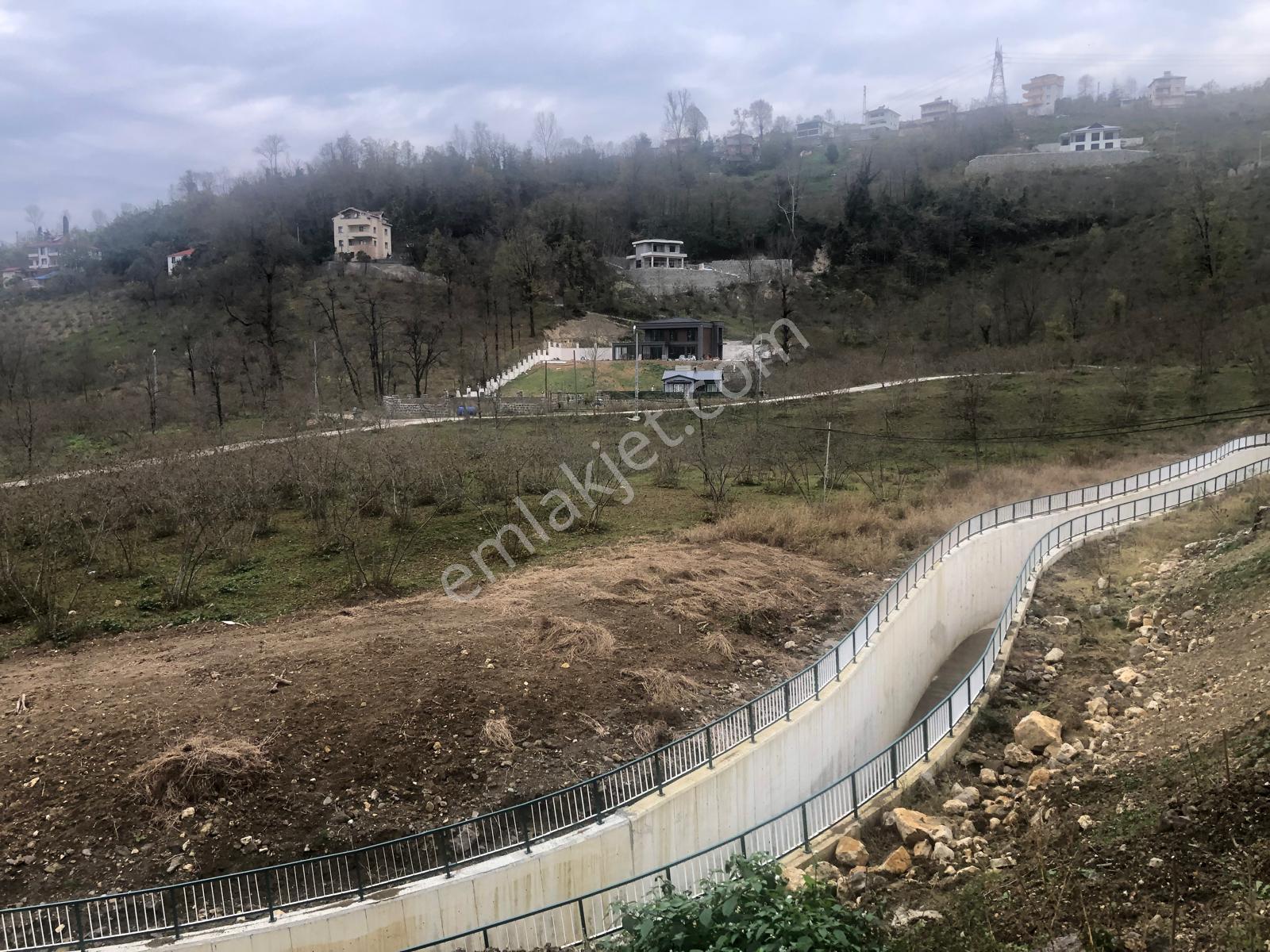 Trabzon Uğurlu Satılık Villalık 3.700 M2 Arazi - Görsel 6