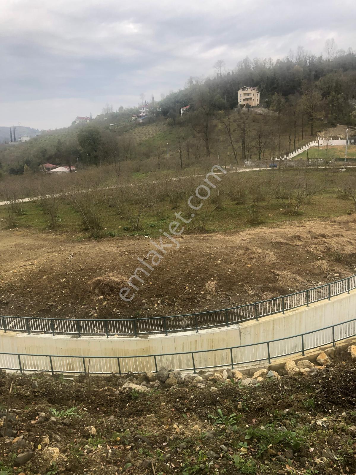 Trabzon Uğurlu Satılık Villalık 3.700 M2 Arazi - Görsel 17