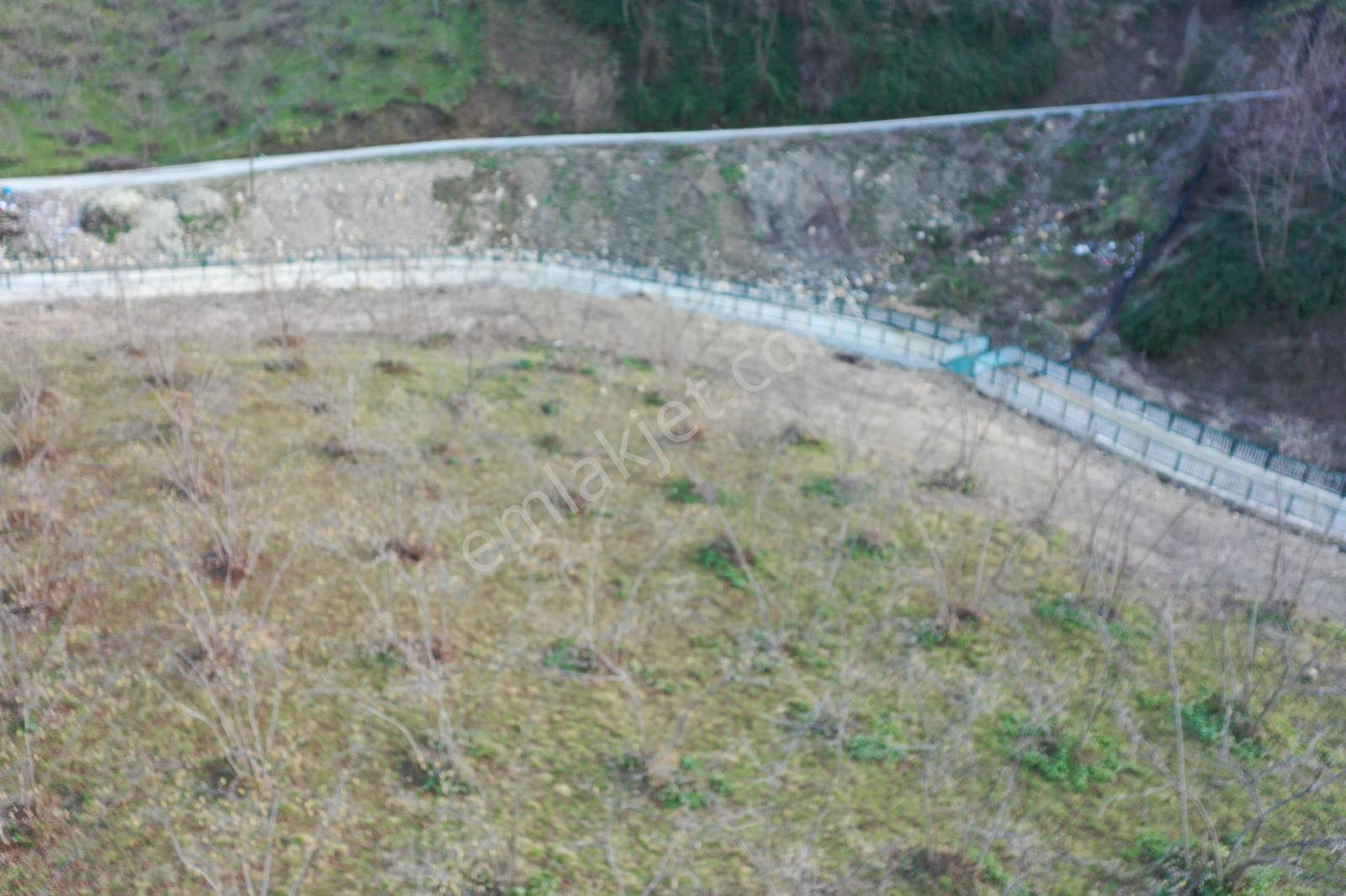 Trabzon Uğurlu Satılık Villalık 3.700 M2 Arazi - Görsel 24