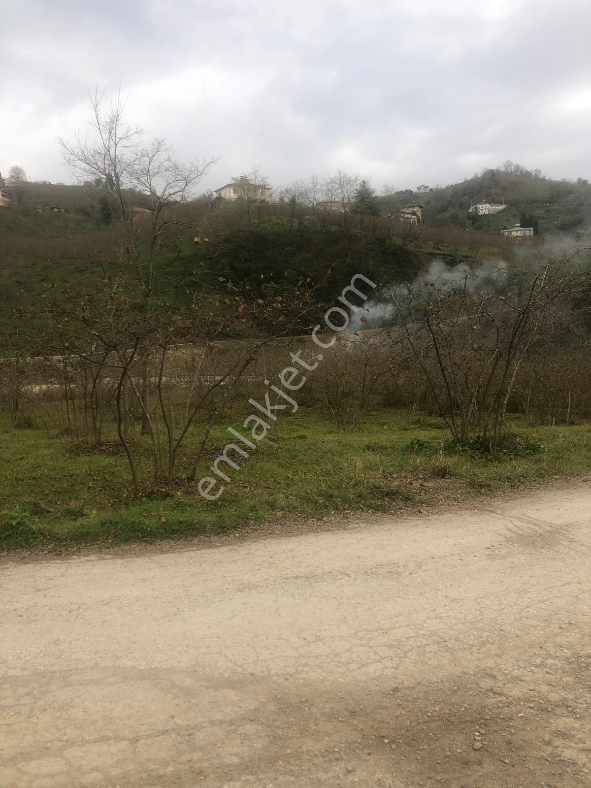 Trabzon Uğurlu Satılık Villalık 3.700 M2 Arazi - Görsel 15