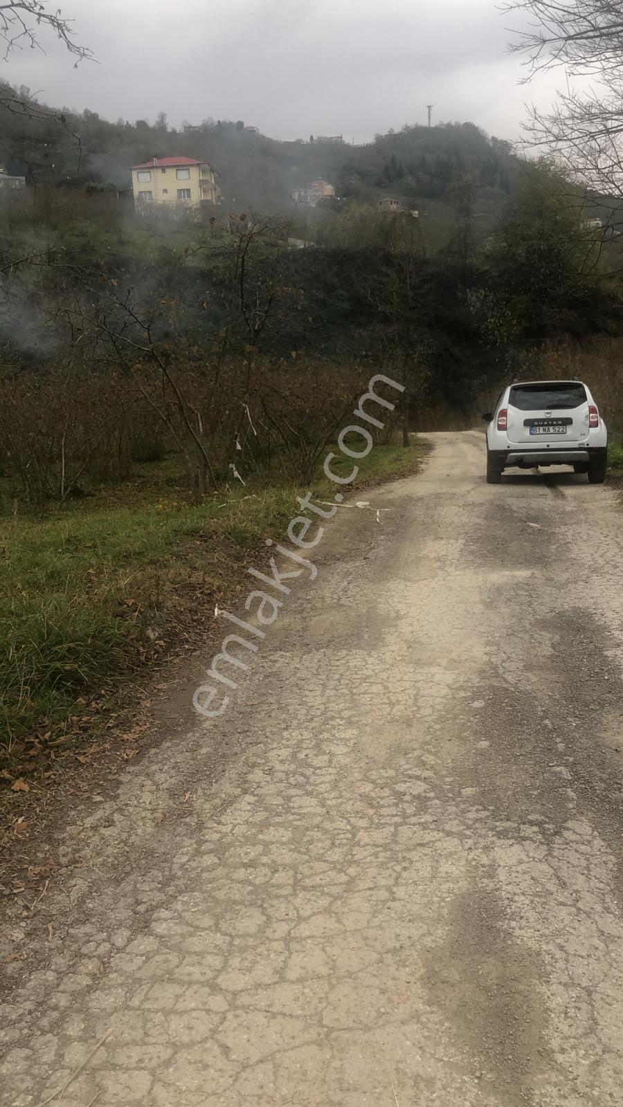 Trabzon Uğurlu Satılık Villalık 3.700 M2 Arazi - Görsel 2
