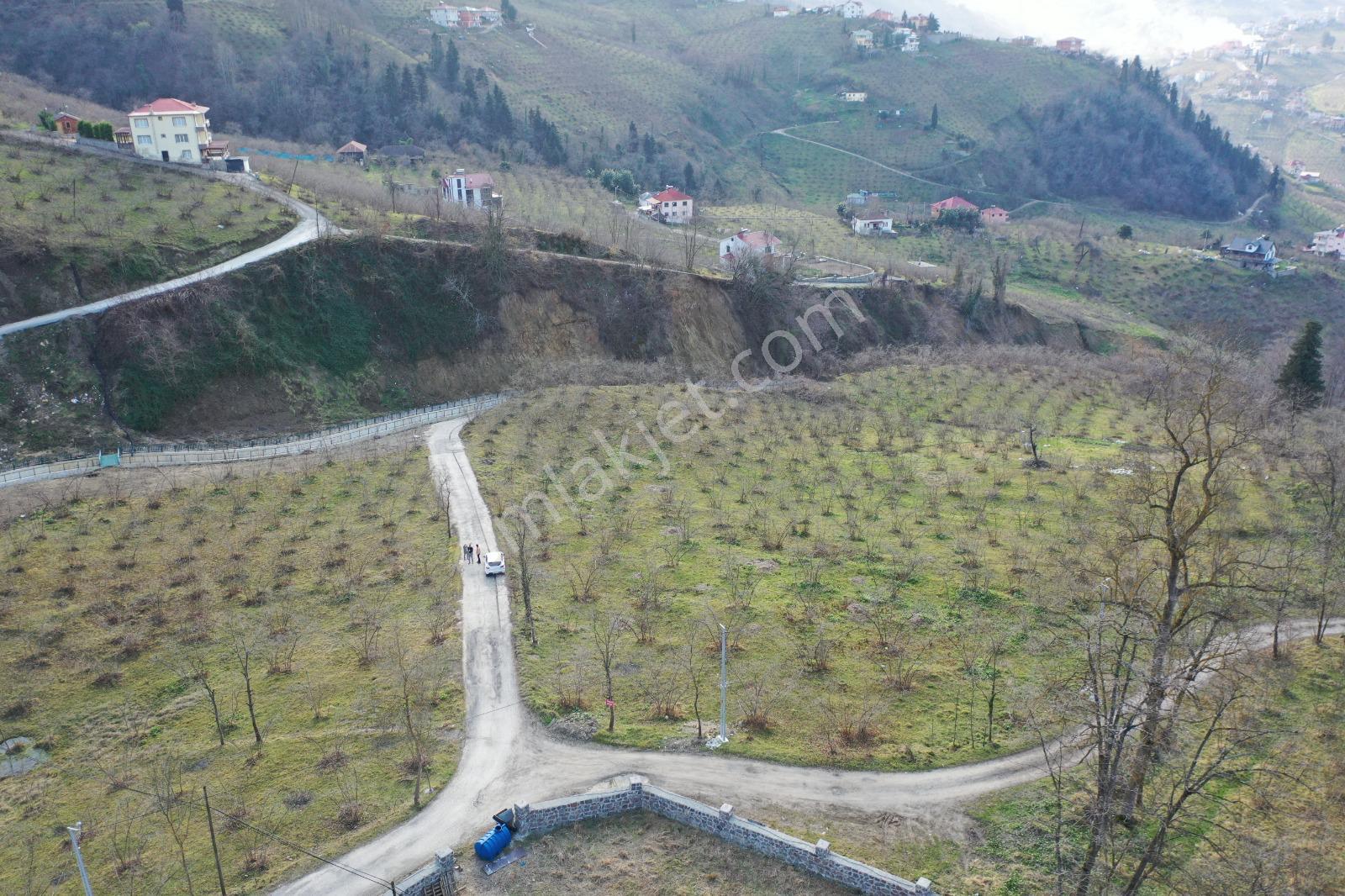 Trabzon Uğurlu Satılık Villalık 3.700 M2 Arazi - Görsel 22