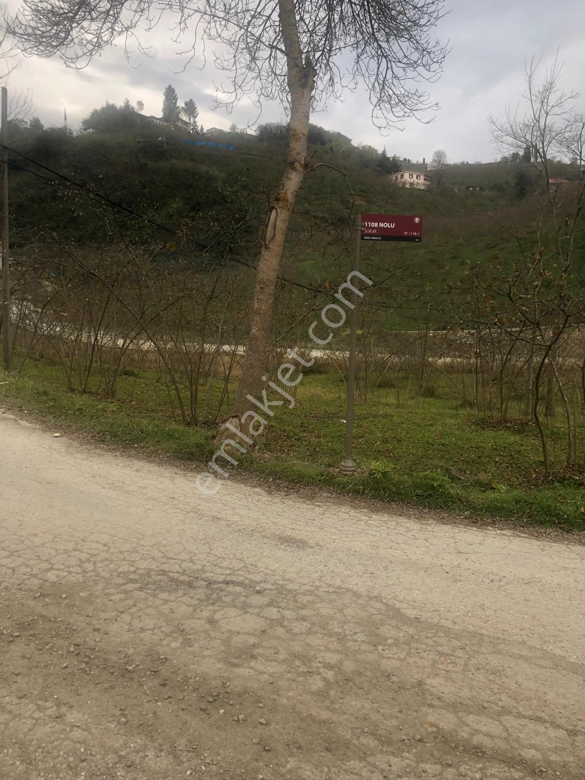 Trabzon Uğurlu Satılık Villalık 3.700 M2 Arazi - Görsel 14