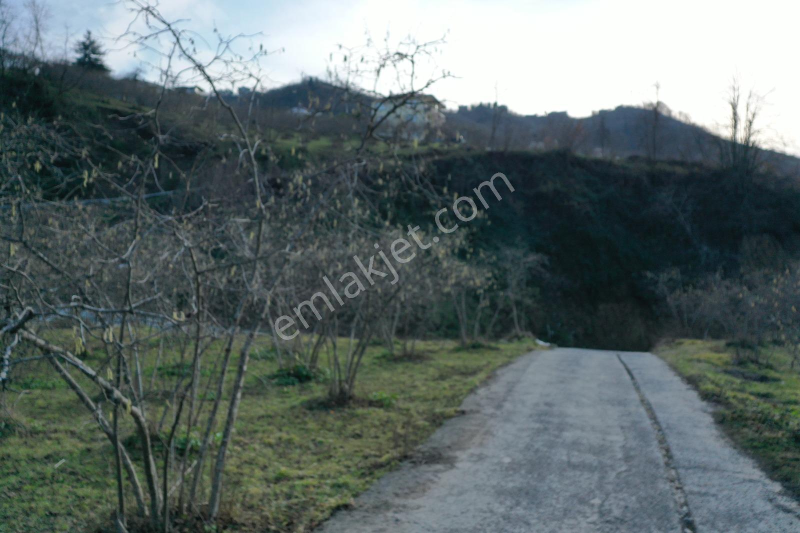 Trabzon Uğurlu Satılık Villalık 3.700 M2 Arazi - Görsel 21