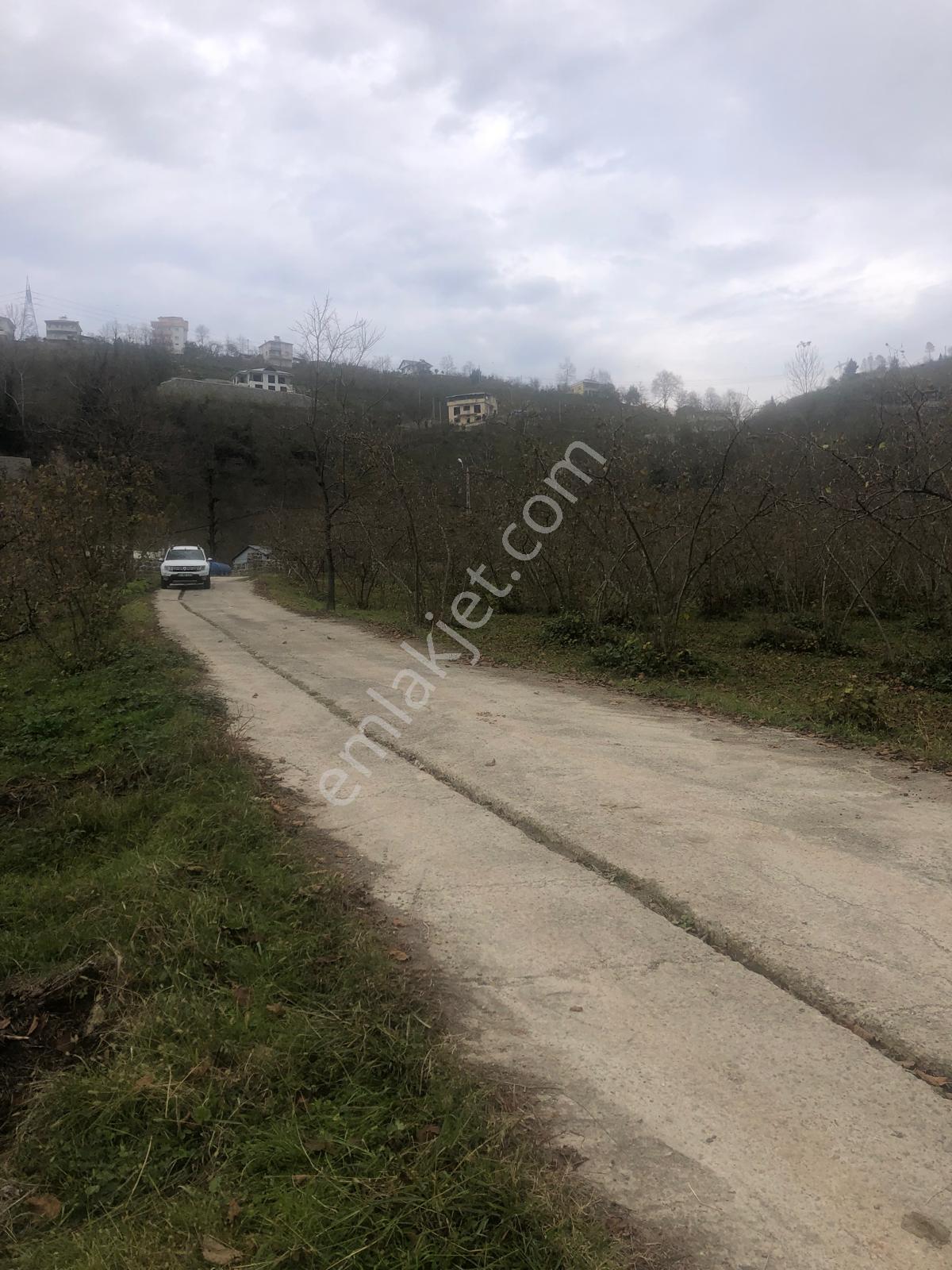 Trabzon Uğurlu Satılık Villalık 3.700 M2 Arazi - Görsel 11
