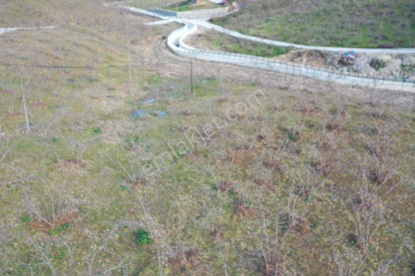 Trabzon Uğurlu Satılık Villalık 3.700 M2 Arazi - Görsel 23