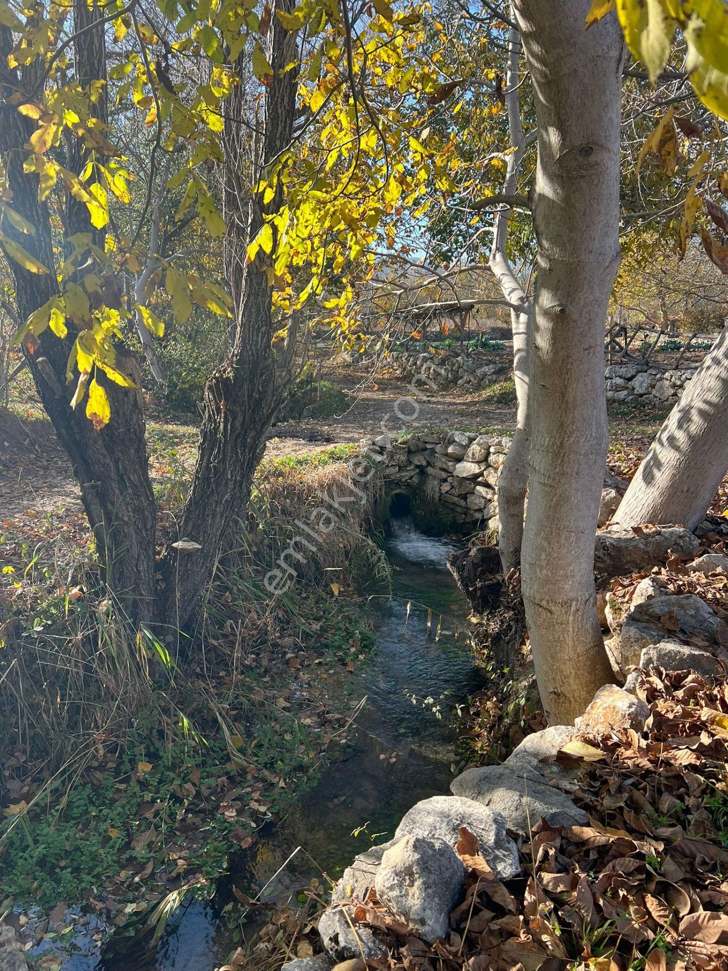 Satılık Yatırımlık İçerisinde Ceviz Ağaçları Bulunan Arazi - Görsel 3
