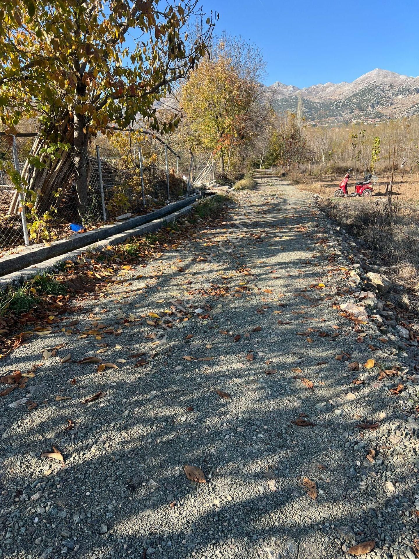 Satılık Yatırımlık İçerisinde Ceviz Ağaçları Bulunan Arazi - Görsel 6