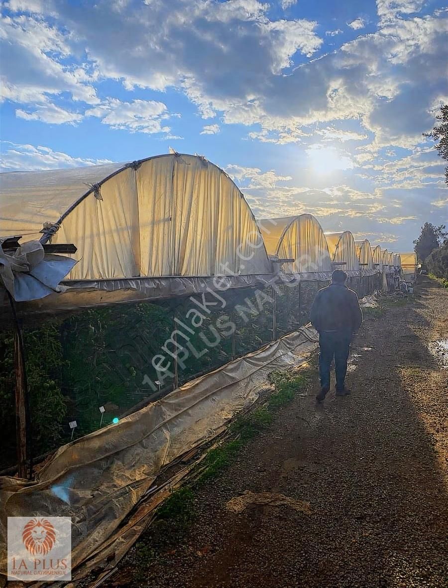 Altınovada Anayola Yakın Havalimanı Mevk 10.034m2 Satılık Arsa - Görsel 12