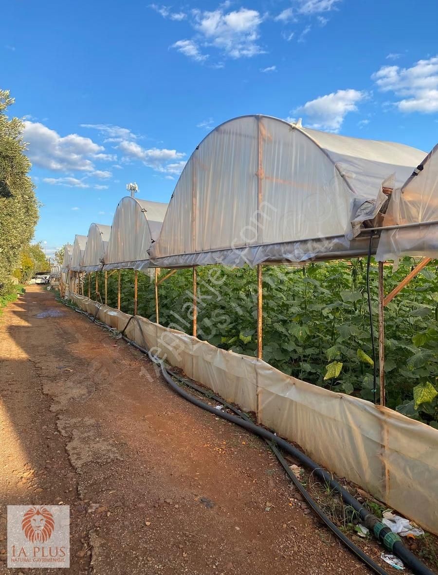 Altınovada Anayola Yakın Havalimanı Mevk 10.034m2 Satılık Arsa - Görsel 8