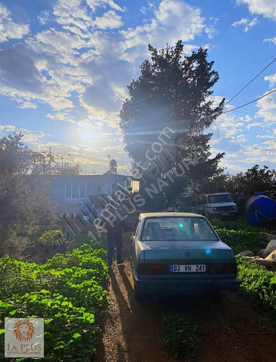 Altınovada Anayola Yakın Havalimanı Mevk 10.034m2 Satılık Arsa - Görsel 11